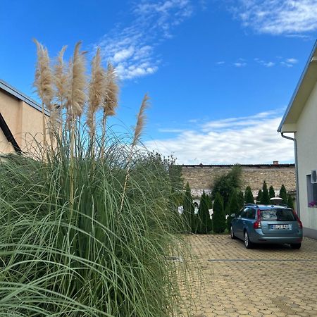 Nest Zen Garden Lägenhet Novi Sad Exteriör bild