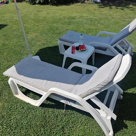 Nest Zen Garden Lägenhet Novi Sad Exteriör bild